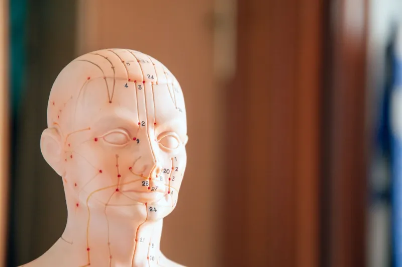 Why Relaxation Alone Won't Cut It: The Vagus Nerve Needs Two Signals at Once